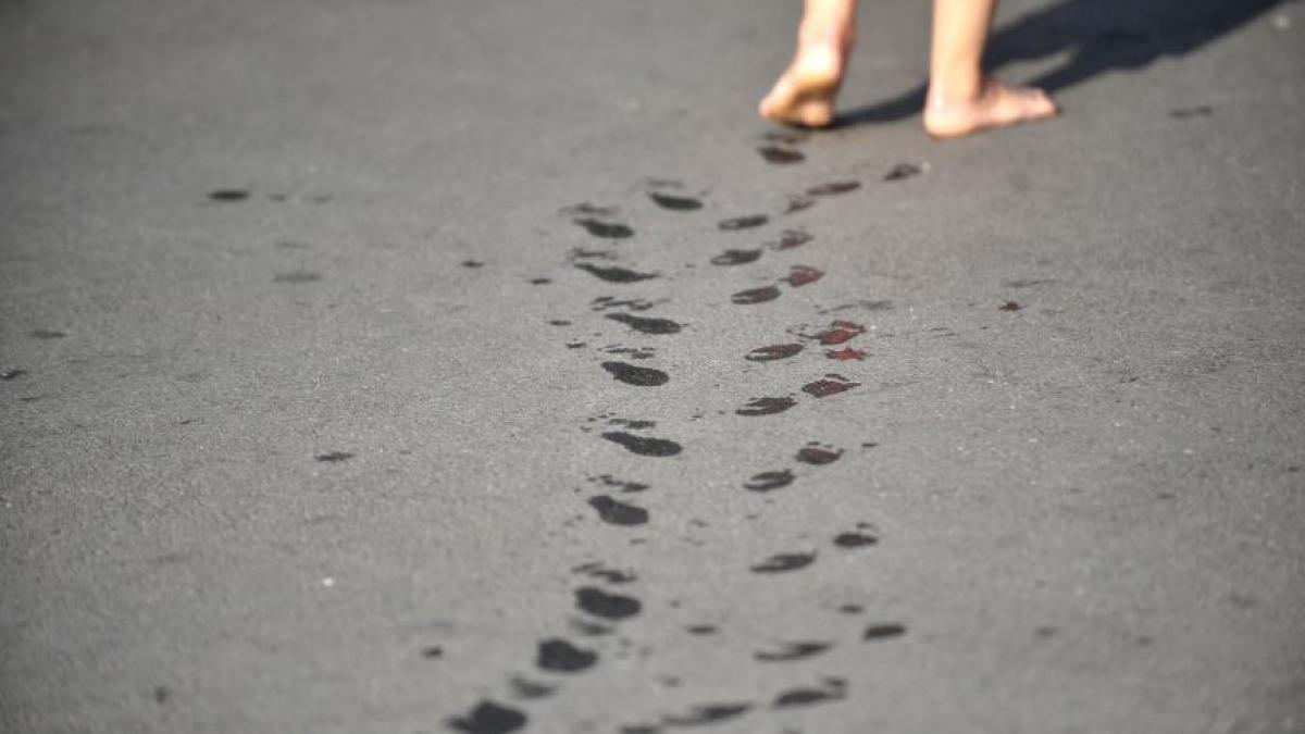 organizatia meteorologica mondiala canicula din europa una dintre cele mai persistente din ultimul