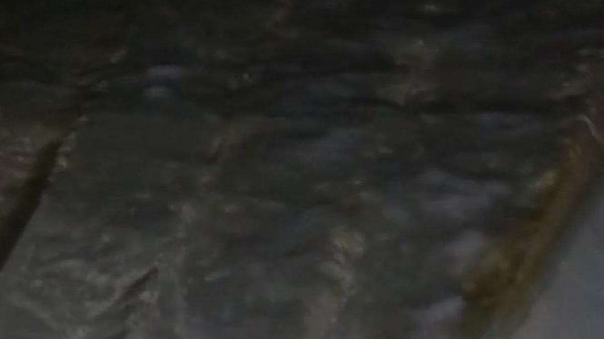 accident in marea neagra o barca s a rasturnat in apropierea portului tomis