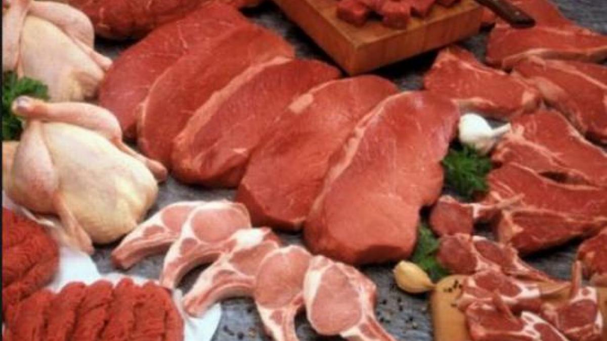 mii de kilograme de carne retrase din restaurantele si magazinele de pe litoral ce nereguli au