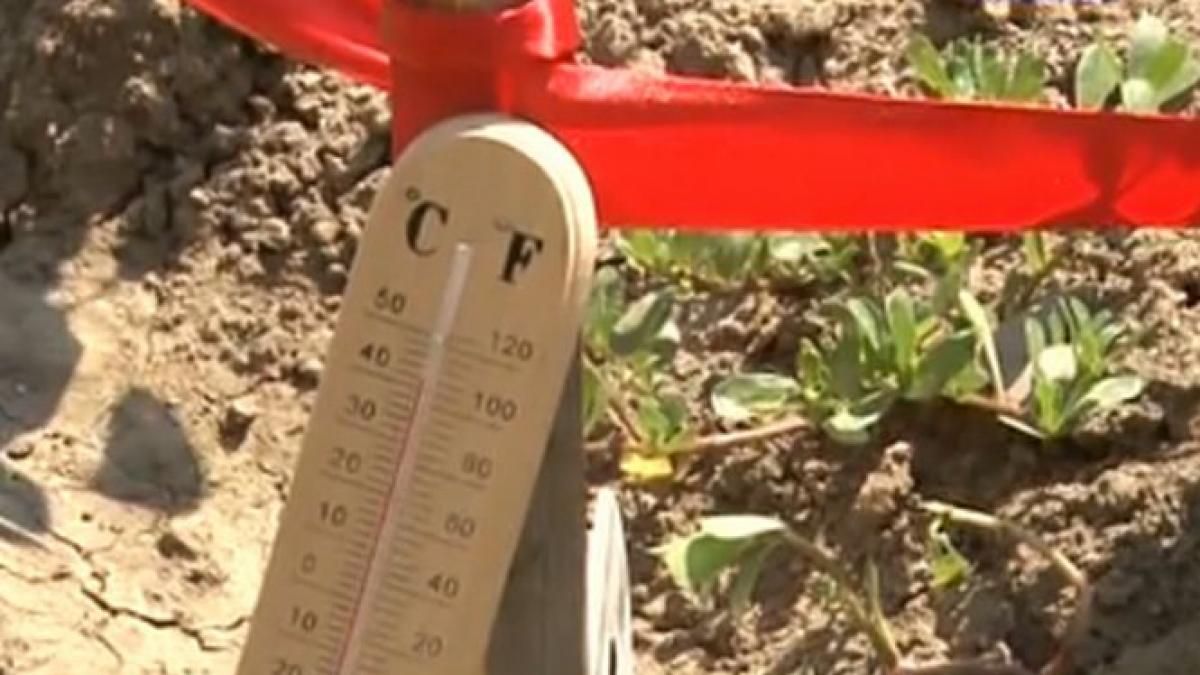 experiment cat de repede se evapora apa din pamant pe canicula