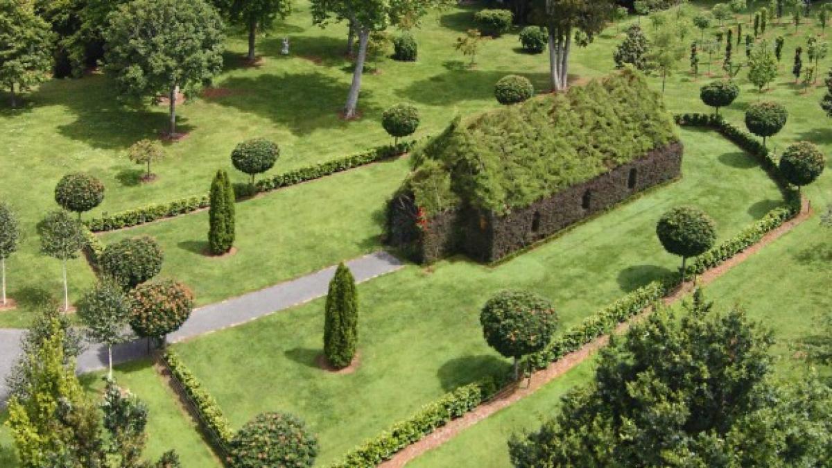 a avut un vis rezultatul este uimitor orice femeie ar vrea sa se marite aici