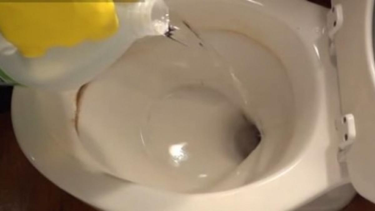 toarna o sticla de otet in vasul de toaleta motivul toti trebuie sa vedem asta