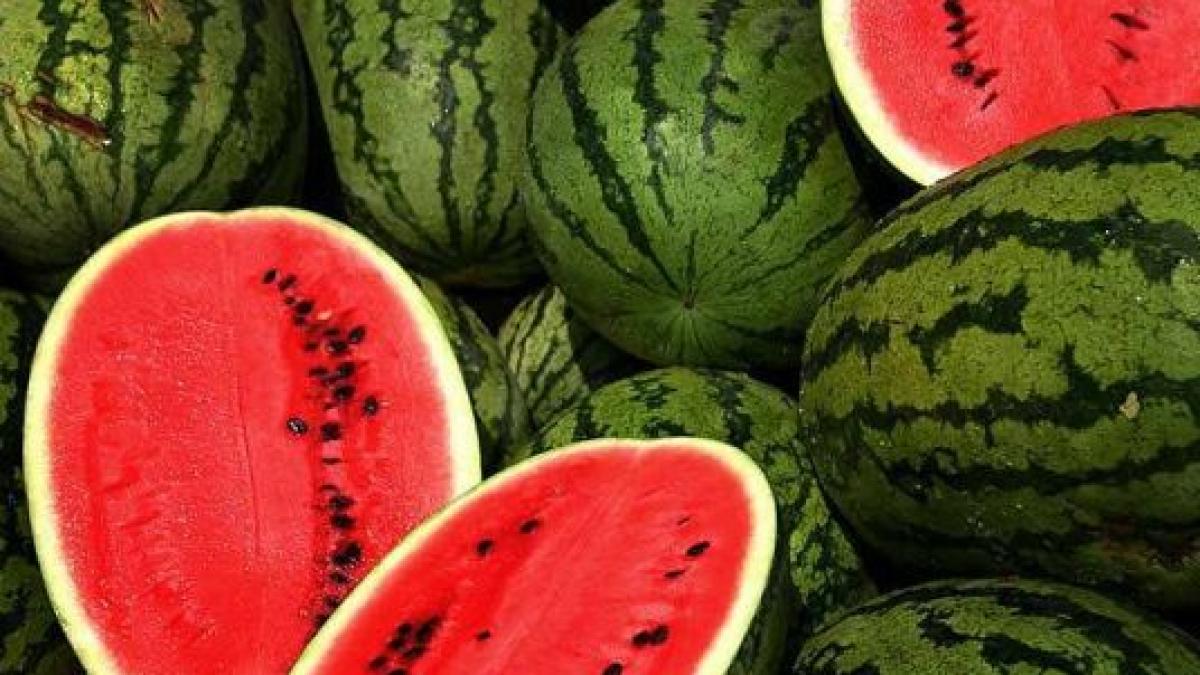 de unde vin cei mai buni pepeni din romania video