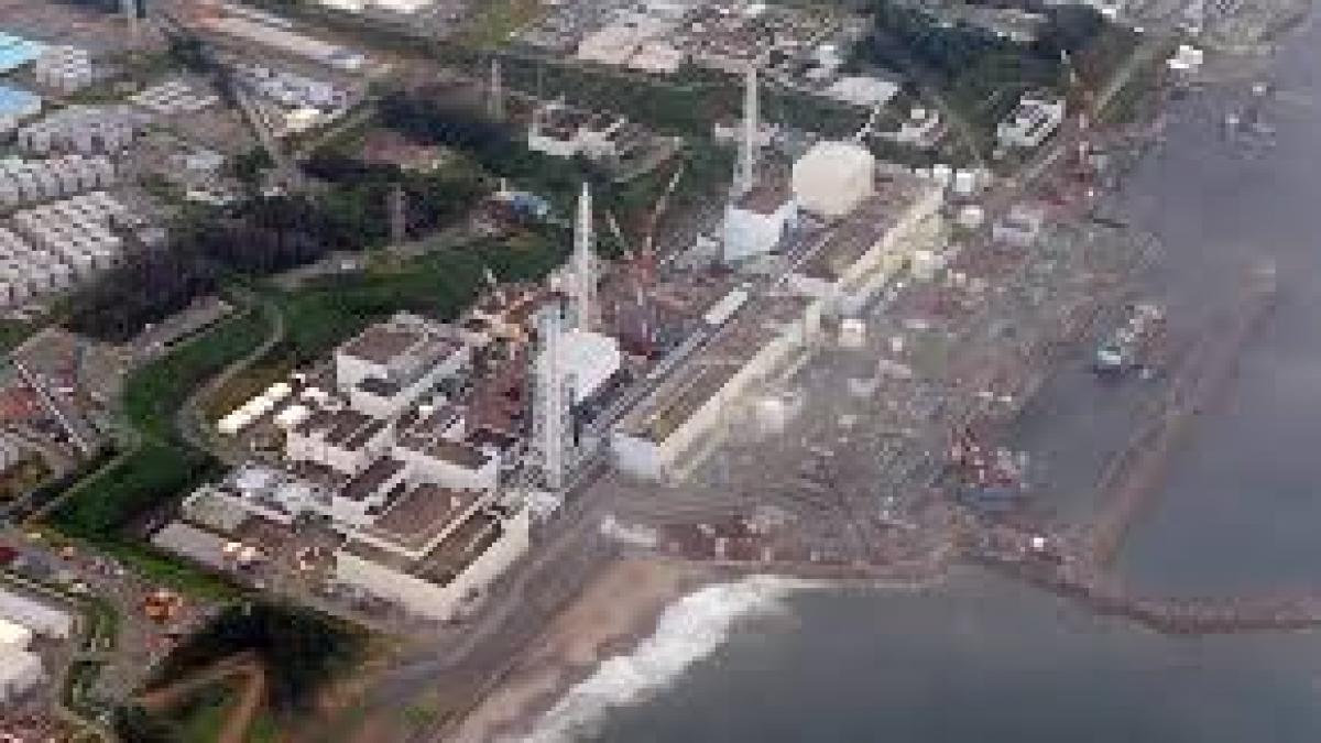 povestea japonezului ajuns olimpic la istorie in romania video