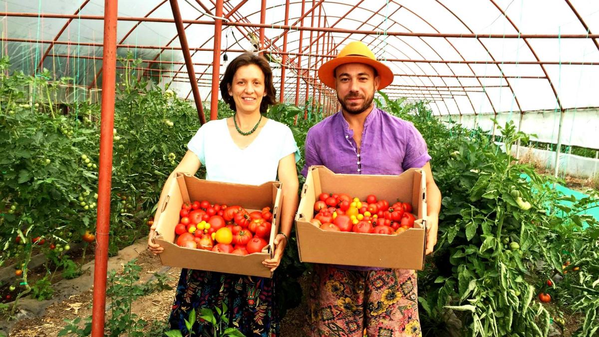 au dat orasul pe viata la sat povestea incredibila a tinerilor care si au dat reset