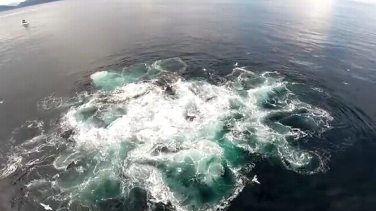 imagini spectaculoase filmate de o drona deasupra apelor din alaska