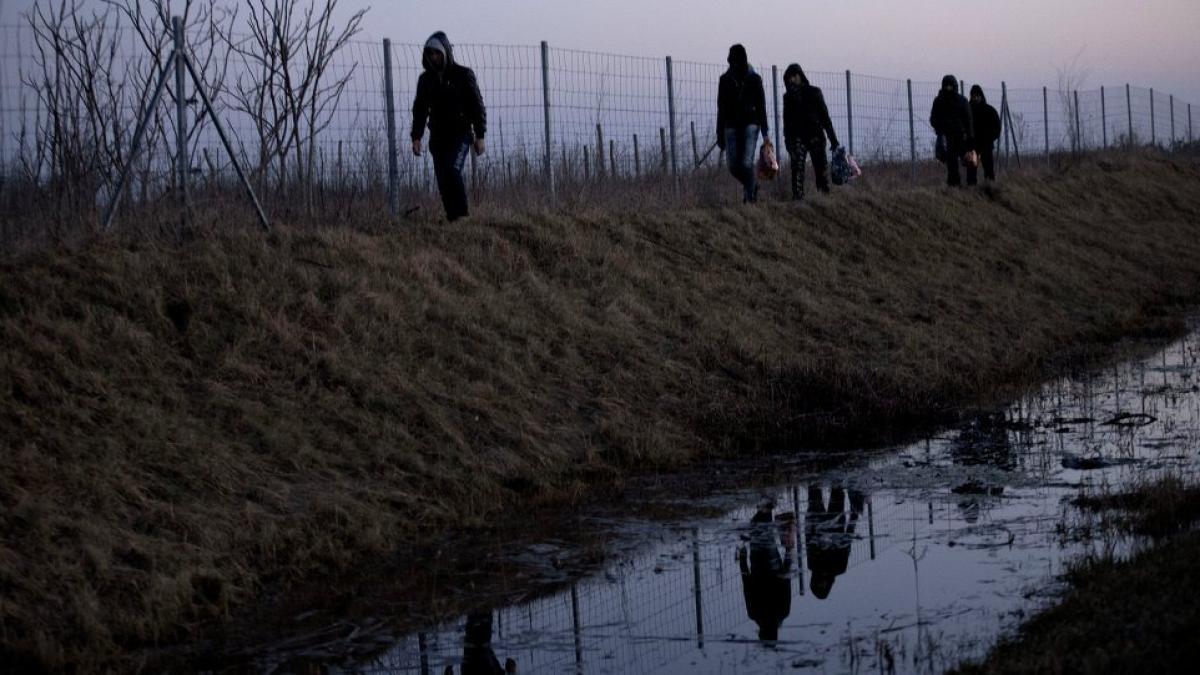 tensiuni diplomatice intre serbia si ungaria din cauza zidului de la granita