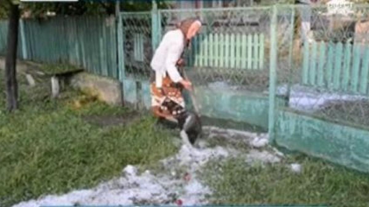 potopul s a coborat peste o localitate din dambovita