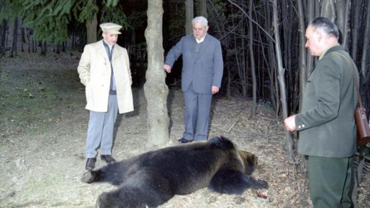 tolba cu povesti a lui nicolae ceausescu scoasa la licitatie