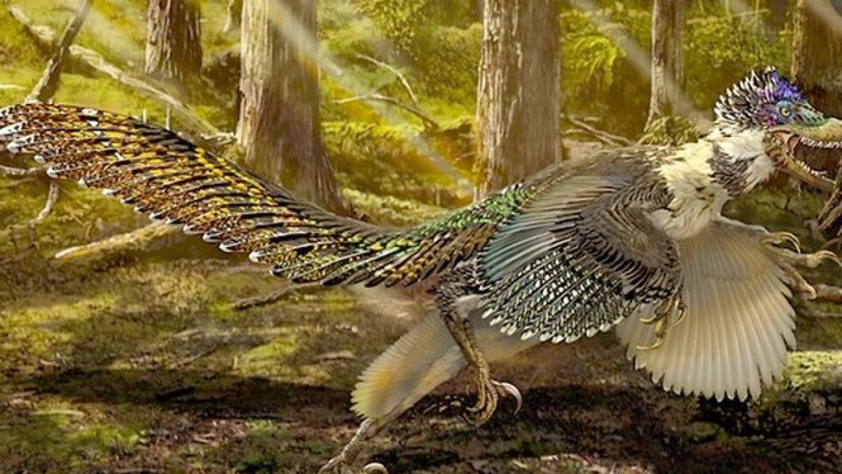 descoperire remarcabila seamana cu o pasare monstruoasa