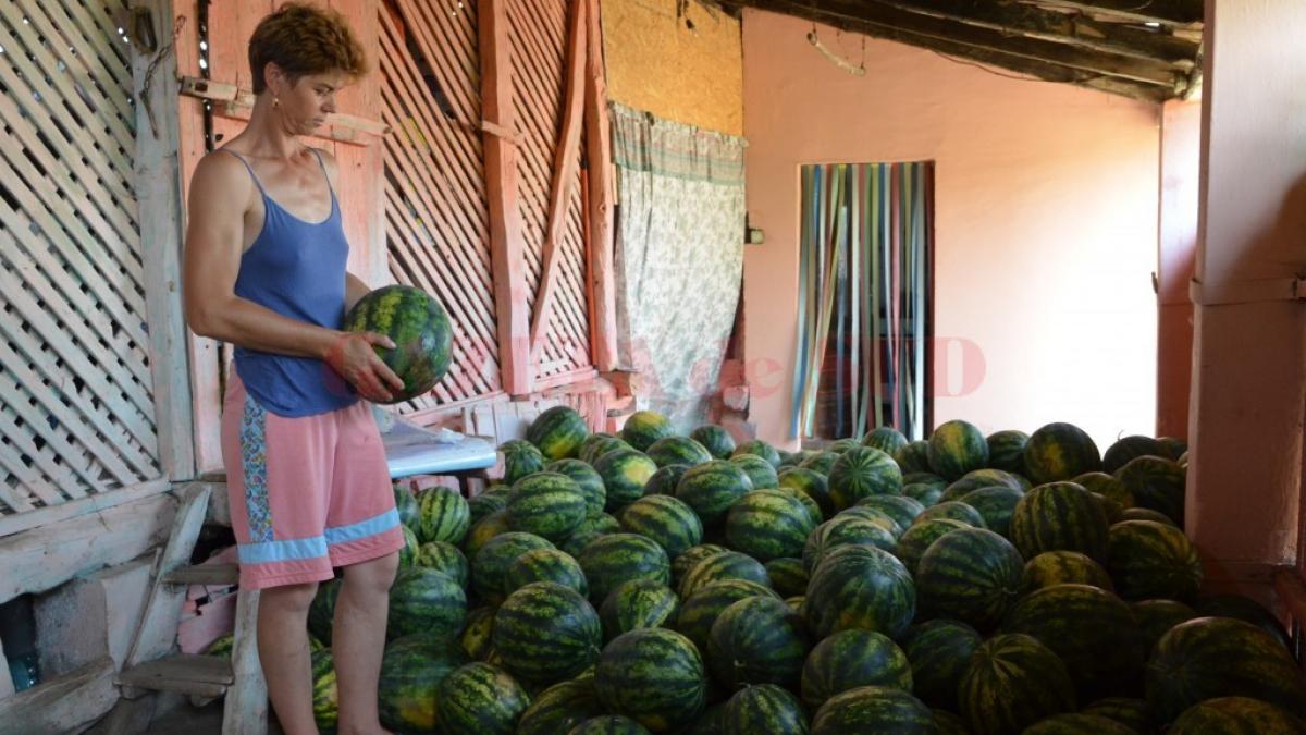 locul din romania unde pepenii sunt aruncati