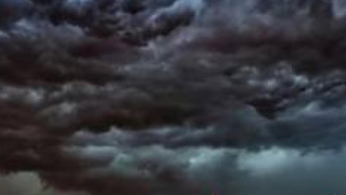 cod galben de furtuna in judetul gorj