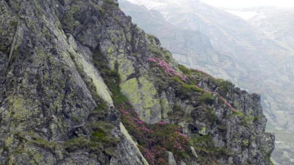 doi turisti maghiari blocati pe un versant din muntii piatra secuiului