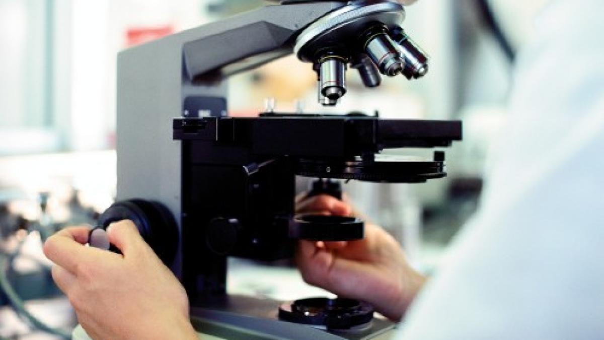 romania prima medalie de aur din istoria participarii la olimpiada internationala de biologie