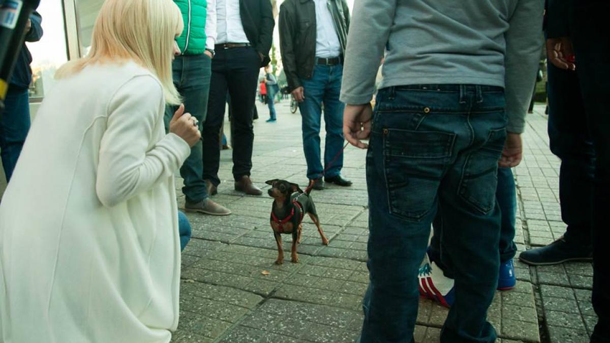 elena udrea isi scrie memoriile