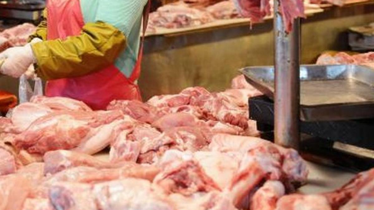 descoperire periculoasa pe litoral cinci tone de carne stricata confiscate din restaurante