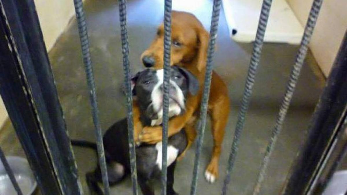 imaginea virala care arata ca nu trebuie sa ti pierzi niciodata speranta