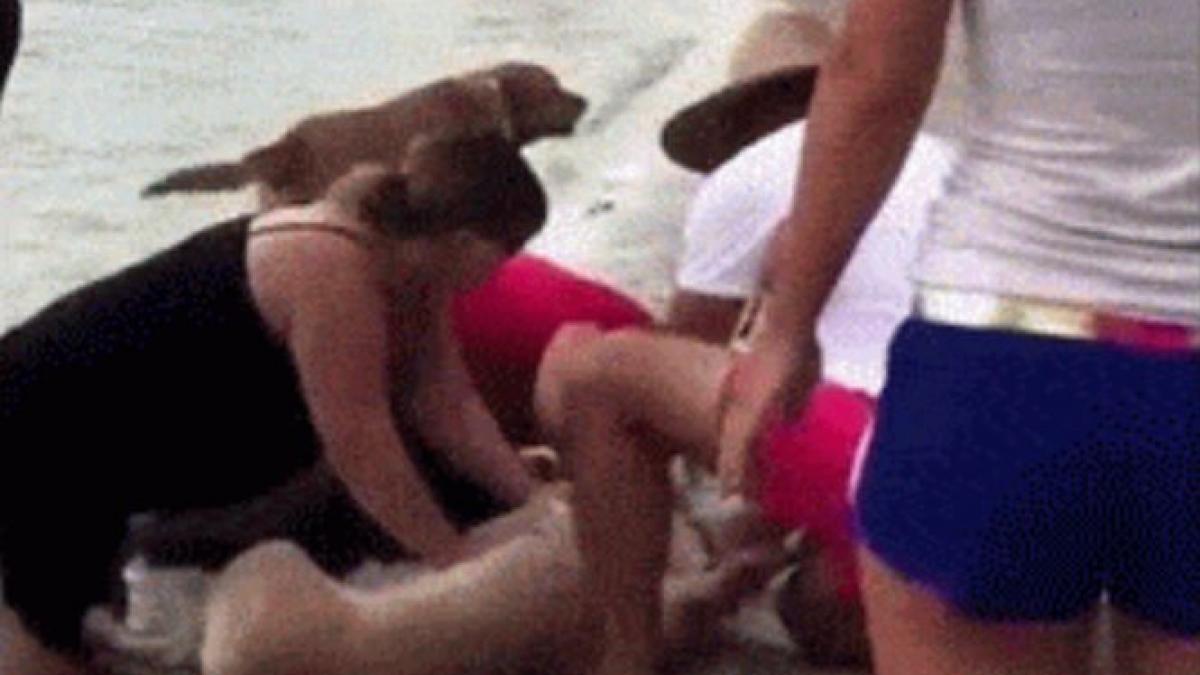 imaginile care iti redau increderea in umanitate