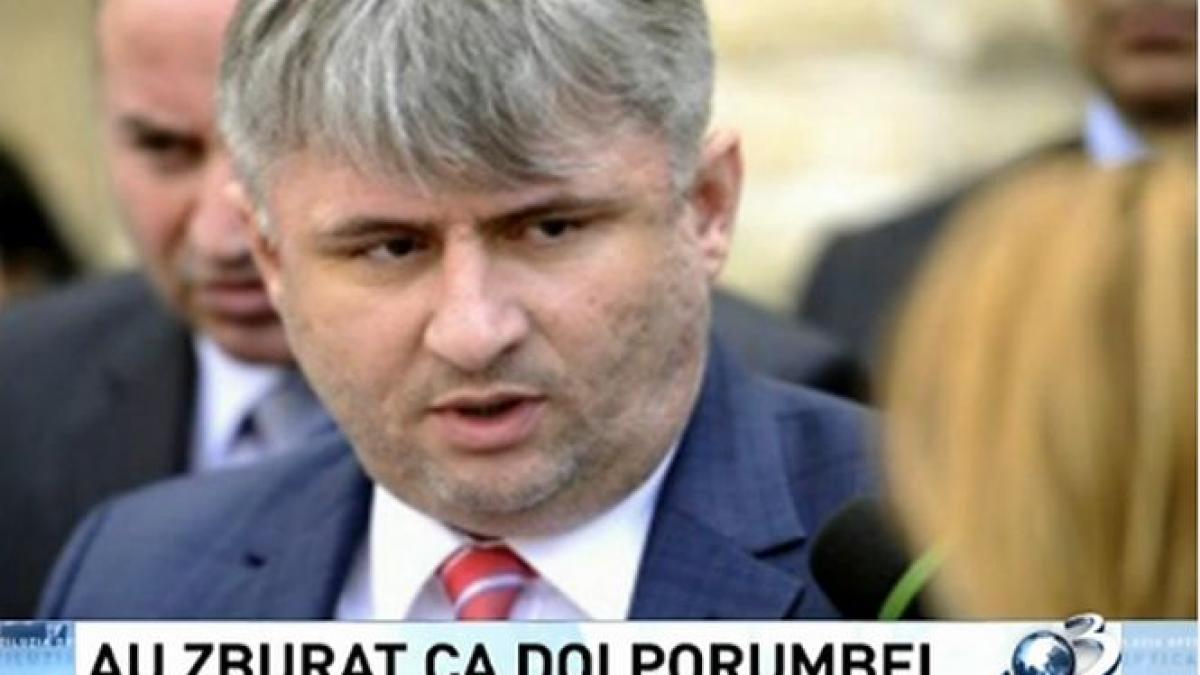 deziluzia optica au zburat ca doi porumbei