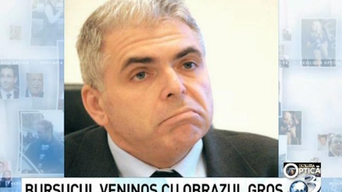 deziluzia optica bursucul veninos cu obrazul gros