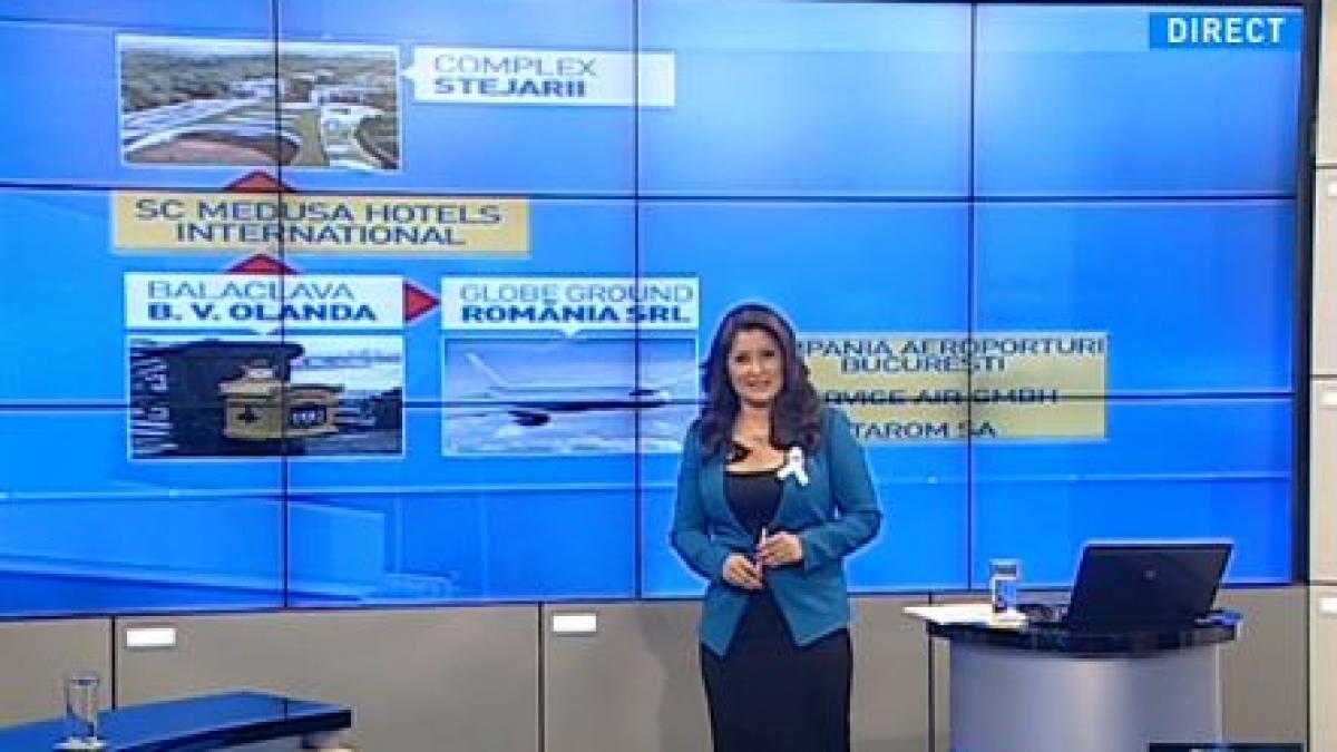 exces de putere stejarii finantati de elena udrea extrema abundenta