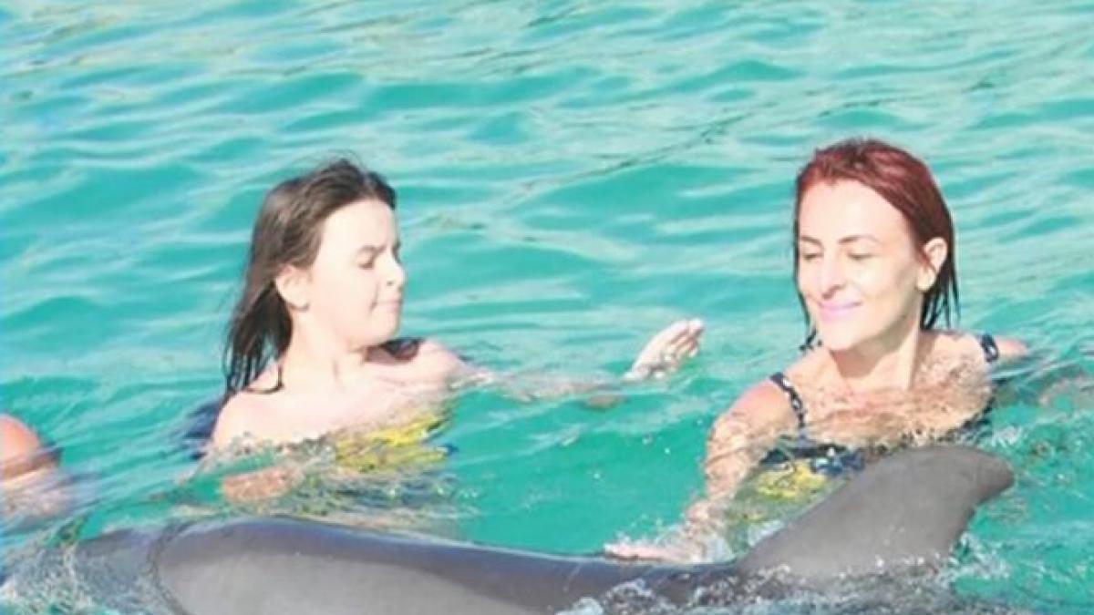 cand vine vorba de vacante politicienii nu se uita la bani vacante exotice pentru parlamentarii