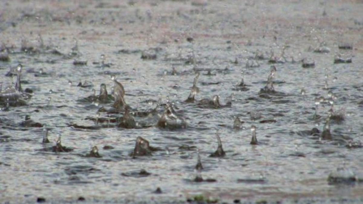 e prapad in pakistan cel putin 36 de morti si sute de case izolate din cauza ploilor torentiale