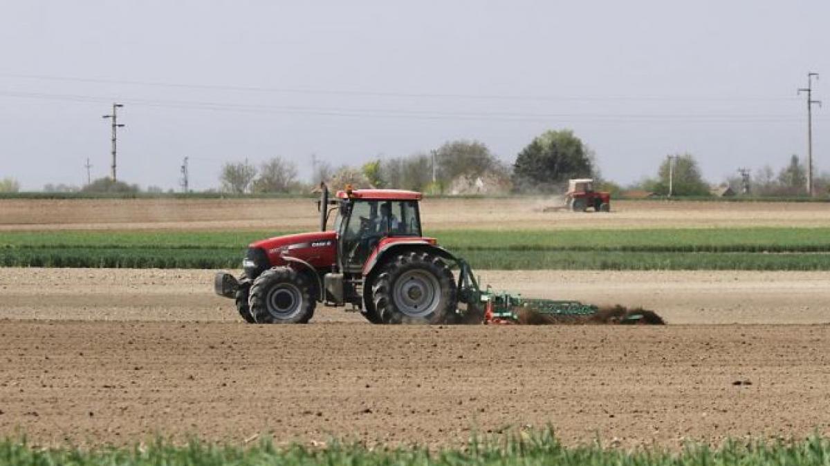 camera deputatilor angajeaza tractorist