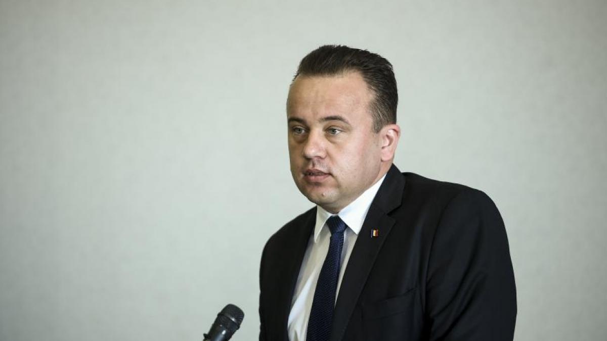 liviu pop ii solicit alinei gorghiu sa