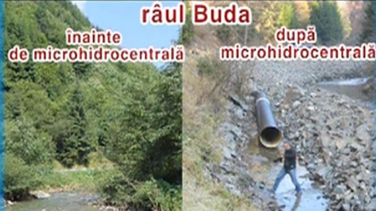 rezervatii naturale distruse povestea profesorului care a convins comisia europeana de abuzurile