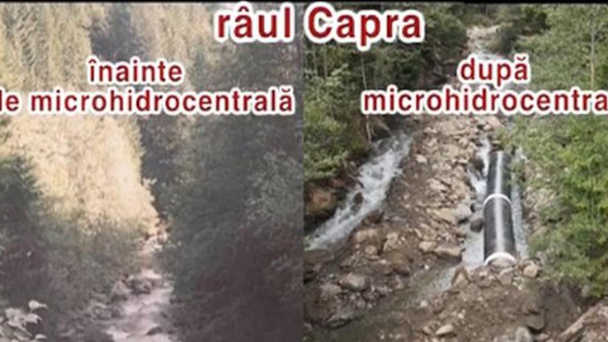 tara a fost jupuita de mafie vezi ce ne a mai ramas