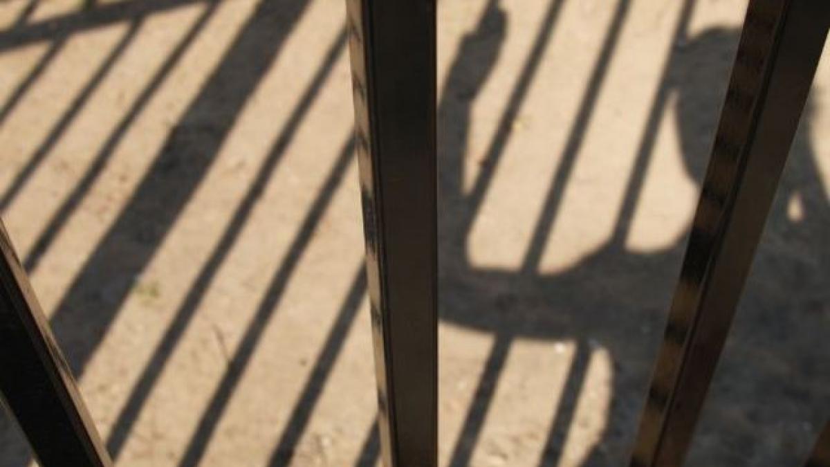 un deputat cere gratierea femeii care a furat o jucarie pentru copilul ei