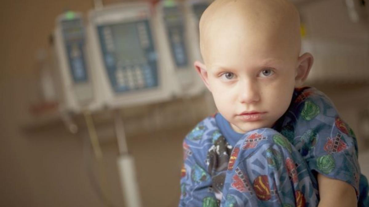 bolnavii de cancer folositi de mafia medicamentelor mai multi medici dusi la dna