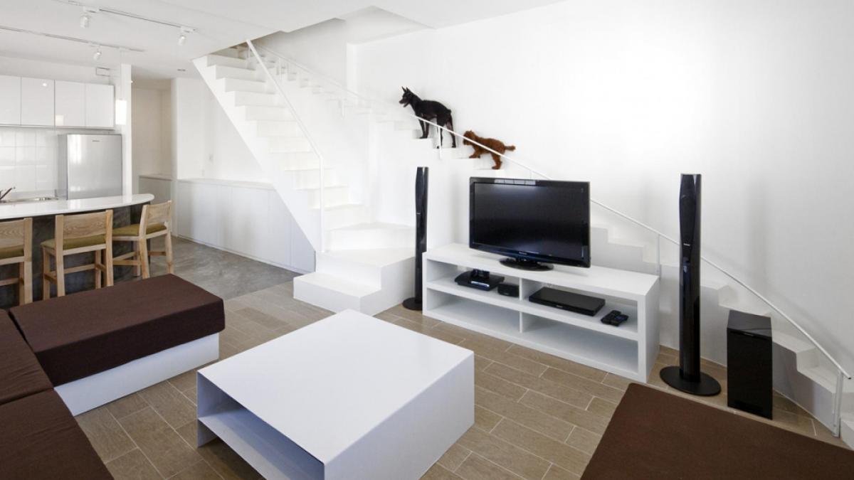 de ce ai proiecta scari speciale pentru caini uite de asta