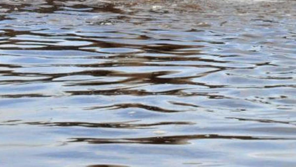 descoperire in apele teritoriale suedeze ce au gasit vanatorii de epave