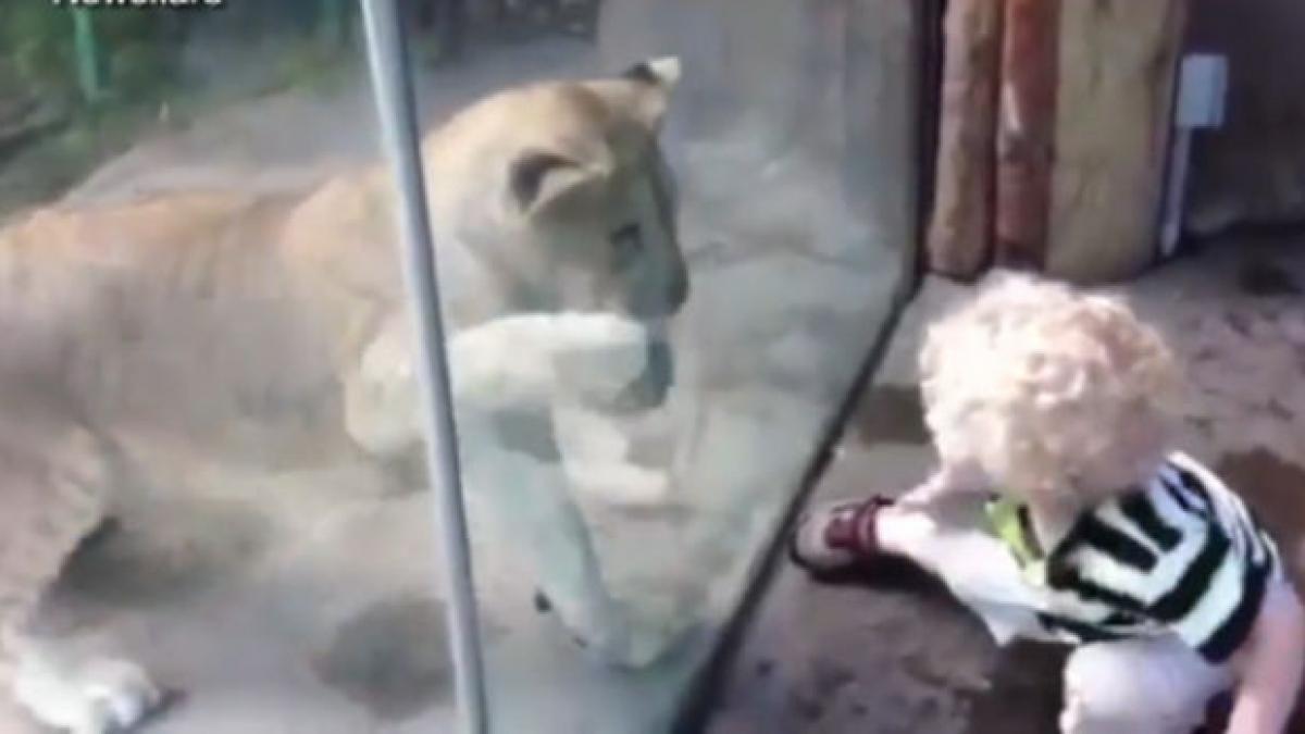 leoaica deschide gura si simti cum te trec fiorii dar ce a urmat te va lasa fara cuvinte