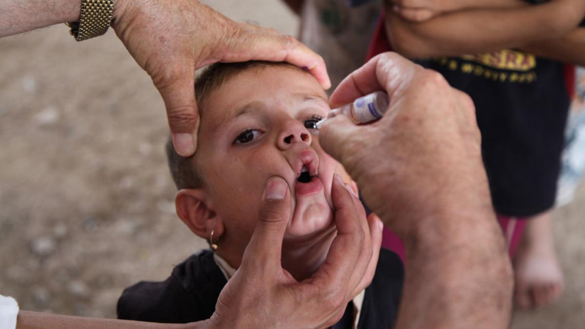 onu suspenda programele de sanatate din irak