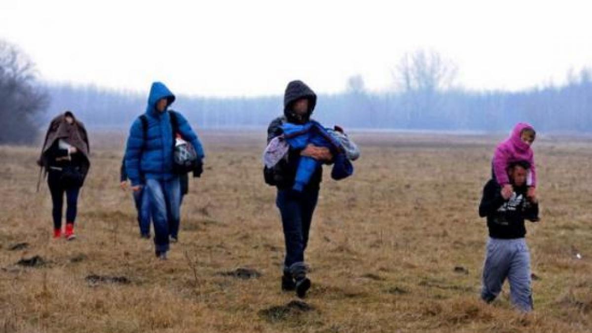 mii de moldoveni turci si chinezi au venit legal in romania cati au venit ilegal