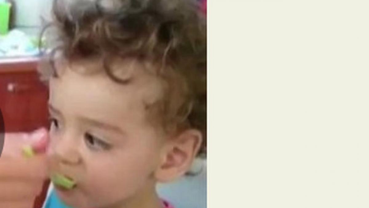 mircea badea hai sa vedem cum mananca purciuc mancare sanatoasa