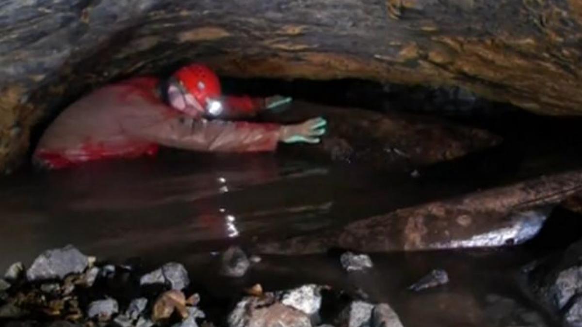 omul care aduce alinare in tara motilor