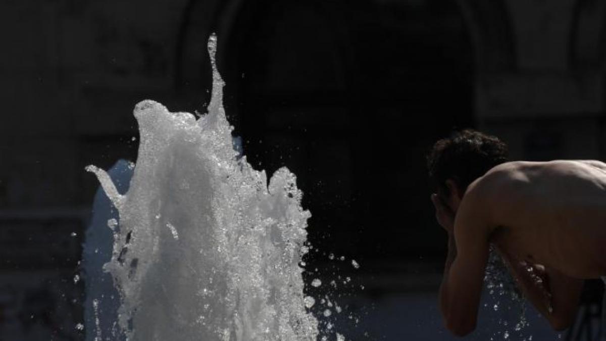 care sunt cele mai profitabile afaceri pe canicula