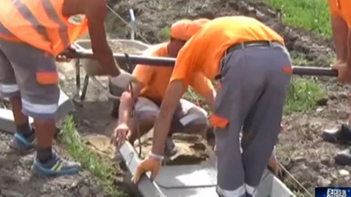 exces de putere regele asfaltului din banat a luat frica dna