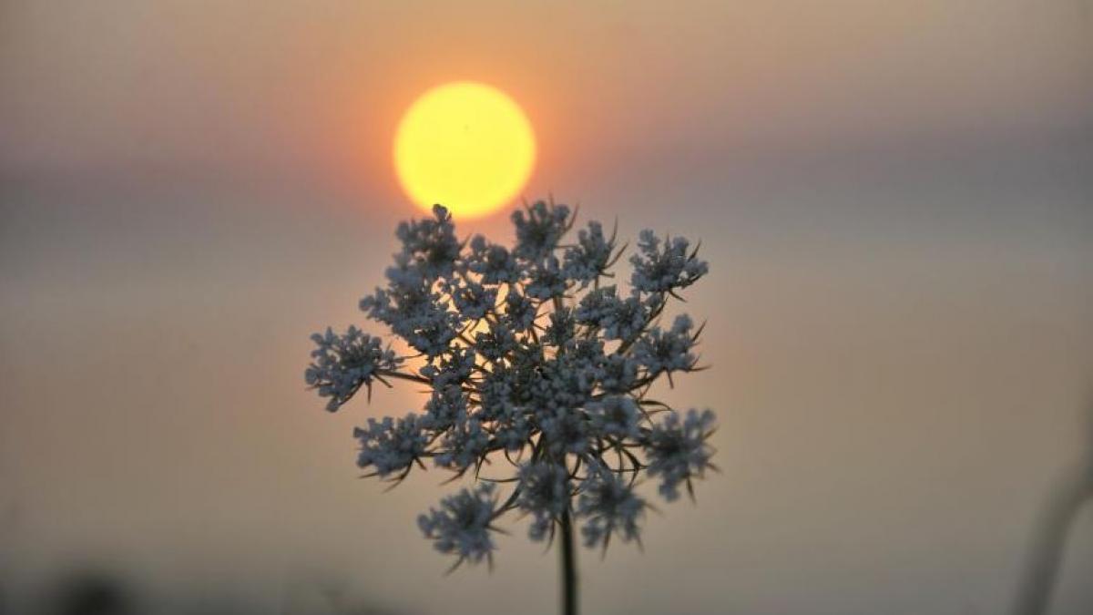 prognoza anm pentru august cum va fi vremea in luna lui gustar