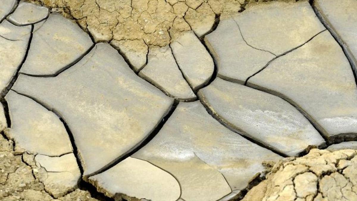 cea mai secetoasa luna iulie din ultimii 25 de ani