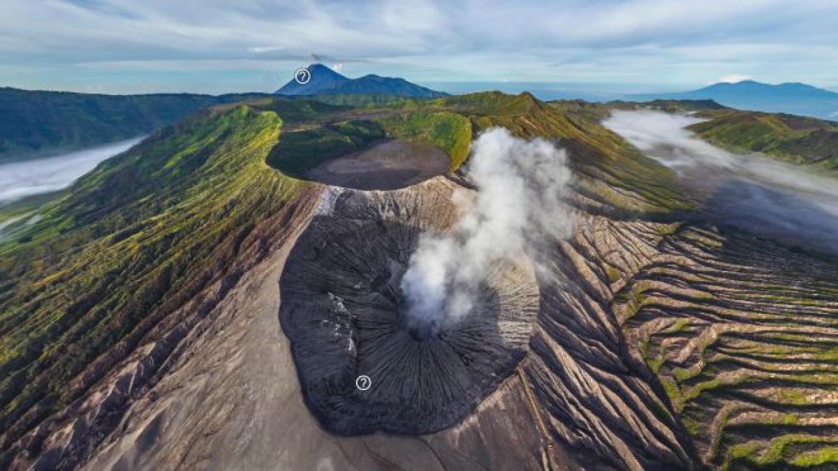 cum vad pasarile lumea din zbor