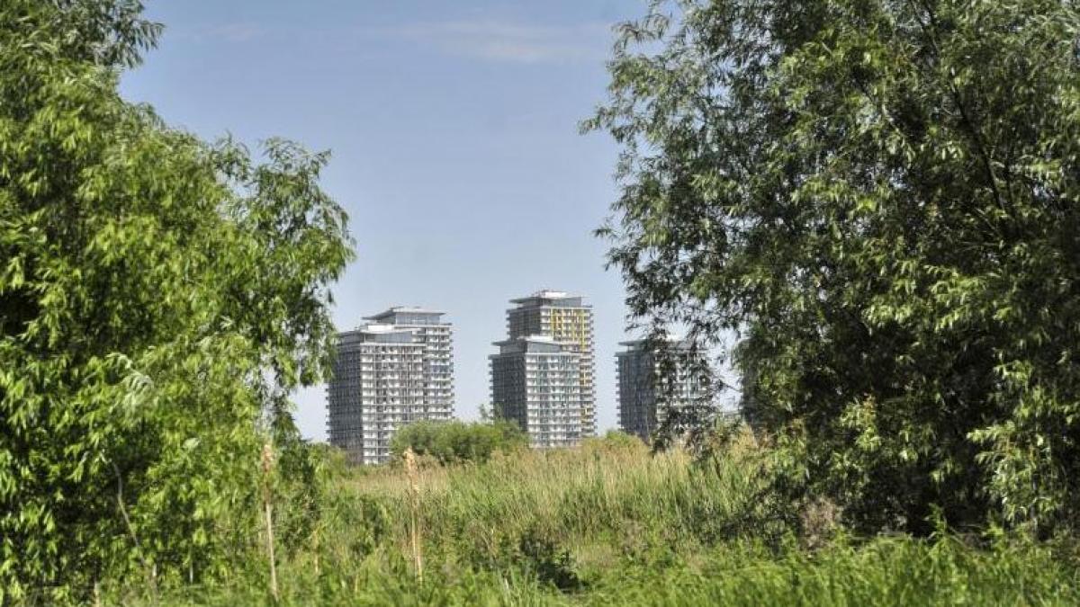 income delta vacaresti miracolul dintre blocuri