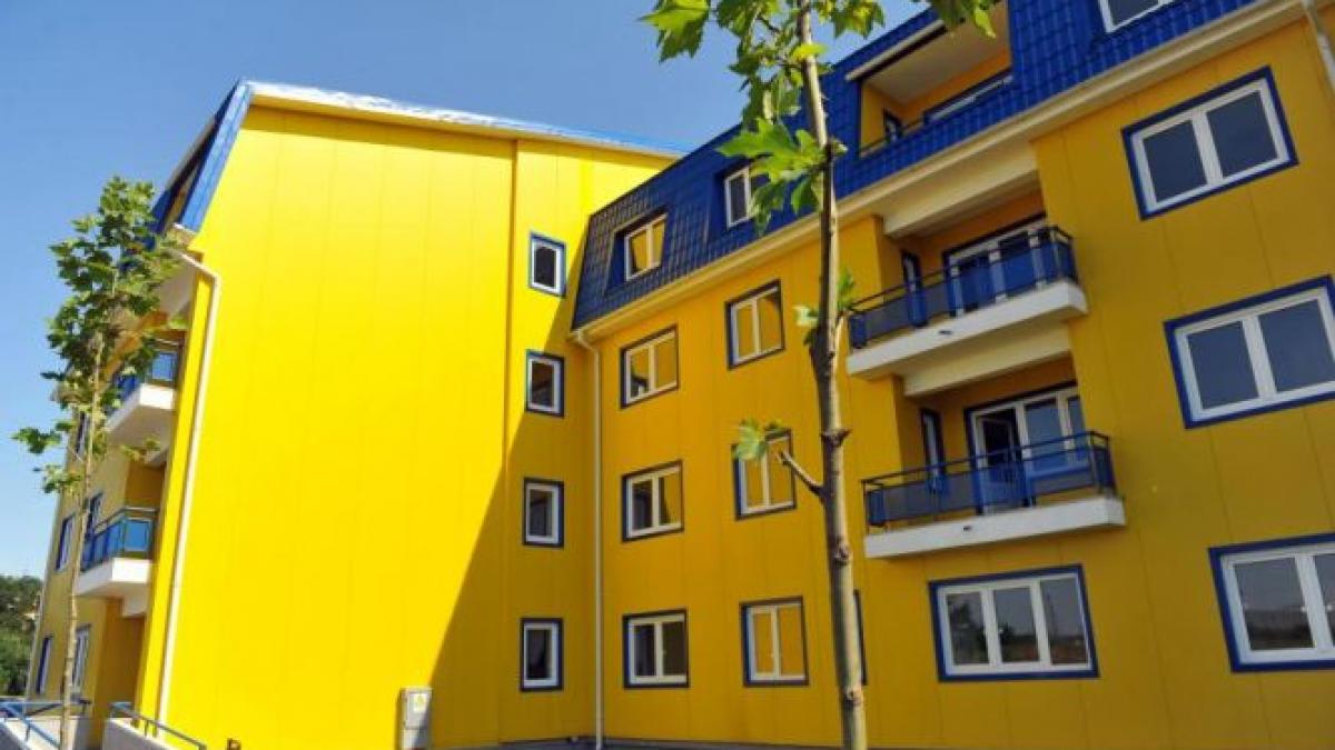 sedinta cu pumni si injuraturi la primarie