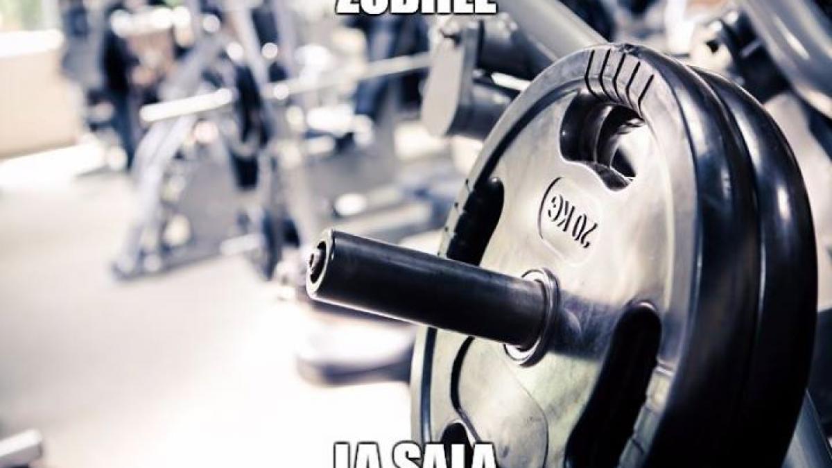 zodiile si mersul la sala