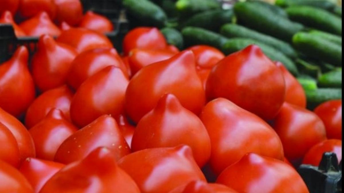 adevarul despre rosiile tugui sunt cancerigene sau nu