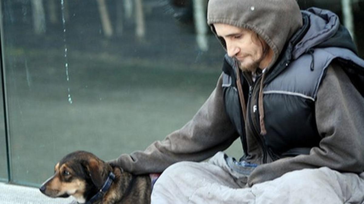 a facut un gest admirabil dar seful a inceput sa tipe la ea tanara a decis sa demisioneze